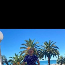 �������, ��������, 36 ���