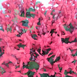 ���� ���������, �����-���������, 46 ��� - ��������� 14 ���� 2022