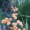 ���� ����, ������, 69 ��� - ��������� 5 ������ 2022 � ������ ���� ����������