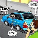 ���� ���������, ��������, 43 ���� - ��������� 13 ������� 2023