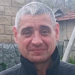 Kifi, �������, 42 ����