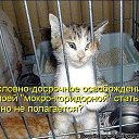 ���� ������, ����������, 62 ���� - ��������� 12 ������� 2022 � ������ ���� ����������