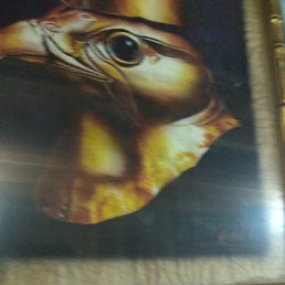 ���� ������, ������, 47 ��� - ��������� 7 ������� 2023