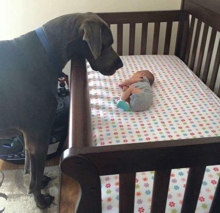 ��� ���� ������� �������� ����, ��������� ���������