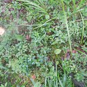  ***L***,   -  2  2022    ܻ