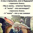 ���� ����, ������, 62 ���� - ��������� 24 ���� 2022