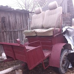 �������, �������, 41 ���