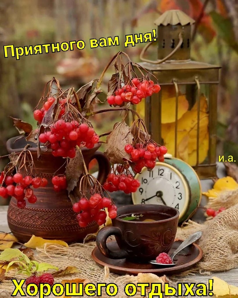   ,    . - 1  2022  19:54 - 2