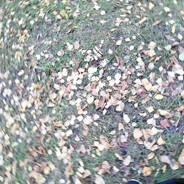 ���� Spider-man, �����������, 34 ���� - ��������� 15 ������ 2023