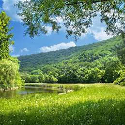 Obshenie, ������, 38 ���