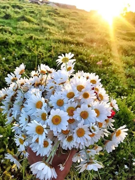 Можно найти миллион причин, чтобы быть не в духе. Это не сложно. Сложнее каждый день любить эту ...