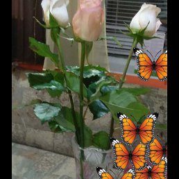 ���� �������, ���������, 46 ��� - ��������� 4 ������� 2022