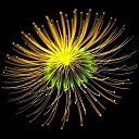 ���� ������, ������, 48 ��� - ��������� 7 ������� 2022 � ������ ���� ����������