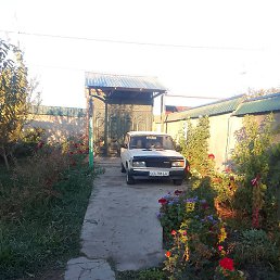 ������, �����, 45 ���