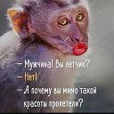 ���� ������� ����, ��������� - ��������� 17 ������ 2023