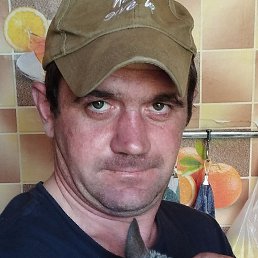 ����, ������, 37 ���