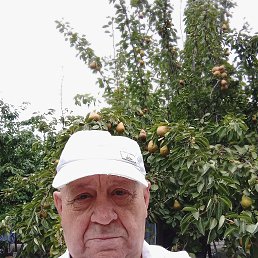 ���� ��������, ������, 68 ��� - ��������� 31 ������� 2022