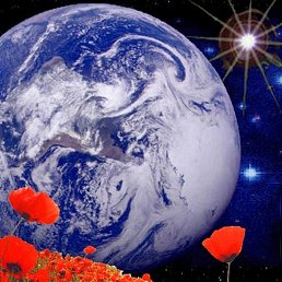 ������, ���������, 71 ���