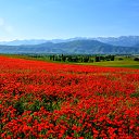 ���� �������, ������, 64 ���� - ��������� 17 �������� 2022 � ������ �������� �����.�