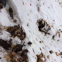 ���� �������, ������ - ��������� 8 ������ 2023 � ������ ���� ����������