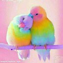 ���� Amiran, ������, 22 ���� - ��������� 15 ������� 2023 � ������ ���� ����������