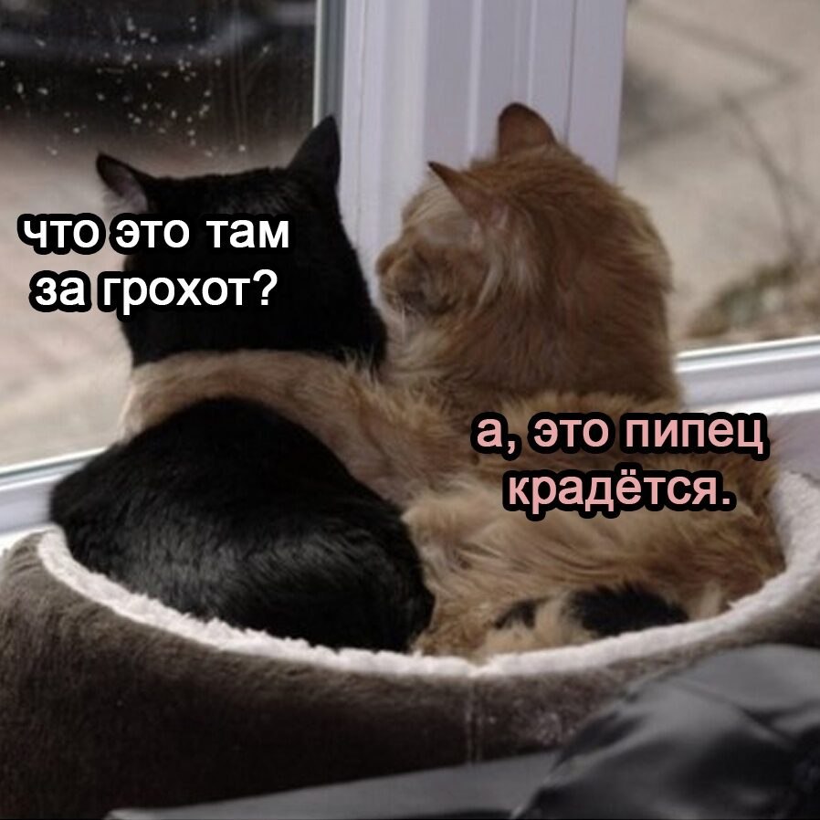***Victoria Viktorovna*** - 23  2022  04:06