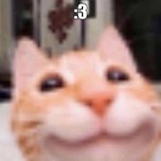 �������, 39 ���, ����