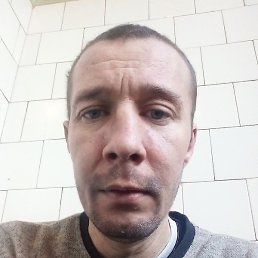 ���������, �����������, 40 ���