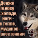 ���� ��k���y, �������, 57 ��� - ��������� 20 ������ 2023 � ������ ���� ����������