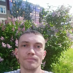 ���� �������, ����������, 43 ���� - ��������� 27 ������ 2023