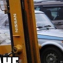 �����, ������, 42 ����