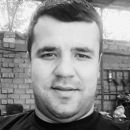 �����, ������, 38 ���