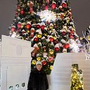 ���� ������, ���������� - ��������� 30 ������ 2023 � ������ ���� ����������