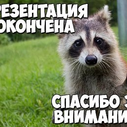 Alex, ������, 44 ����