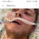 ���� �������, ������, 54 ���� - ��������� 13 ������� 2023