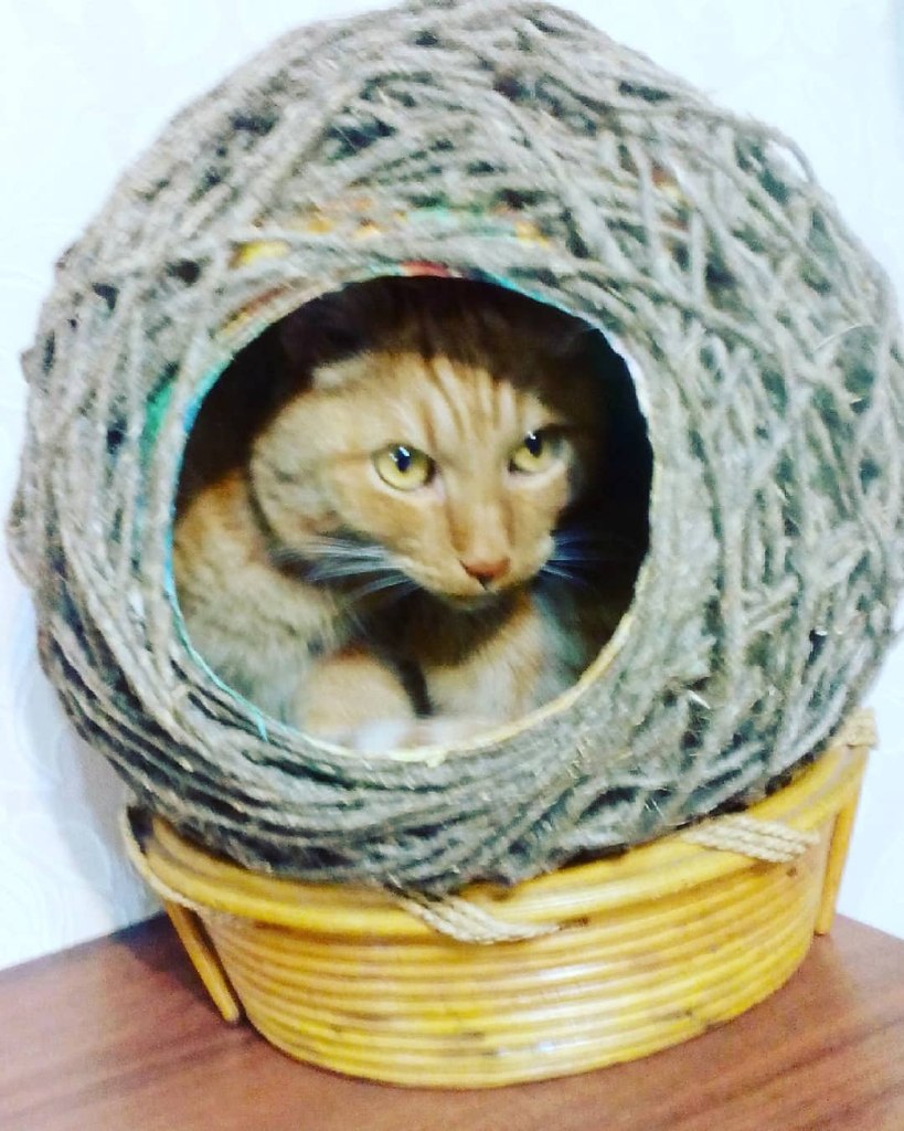    )