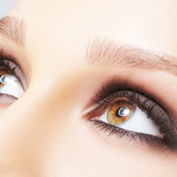 >>>>, ������, 53 ����