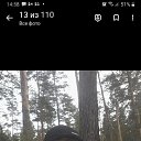 ���� ������, ������, 40 ��� - ��������� 16 ������� 2023 � ������ ���� ����������