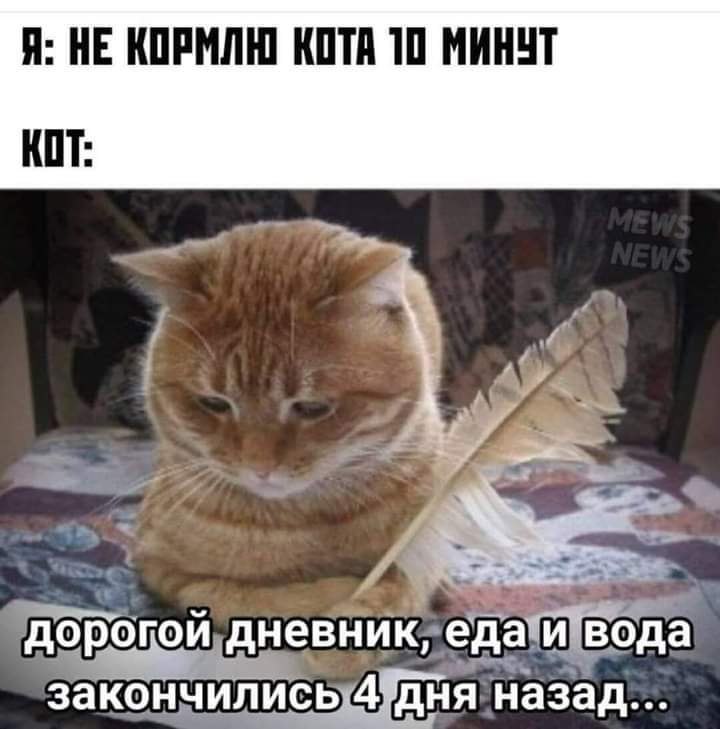 :)     ....)))