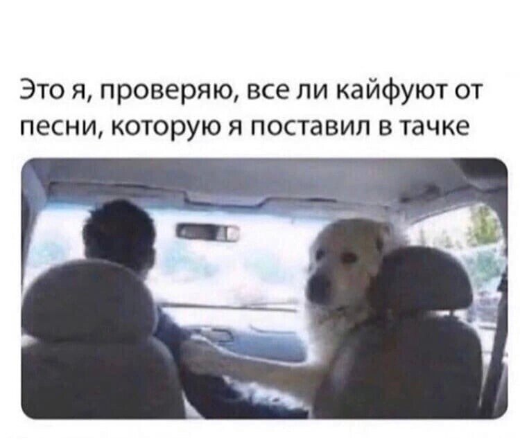 ***Victoria Viktorovna*** - 17 ������ 2022 � 11:40