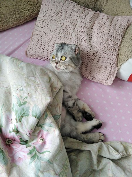  ?