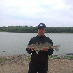 �������, ������, 43 ����