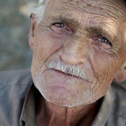 Ali, ������, 66 ���