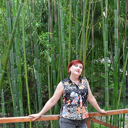 ���� �����, �������, 58 ��� - ��������� 30 ������ 2022