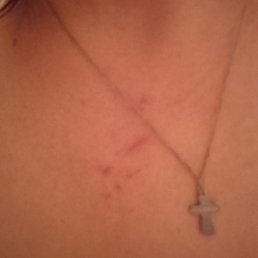 ��������, ������, 43 ����