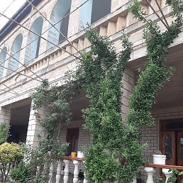 ���, ����, 40 ���