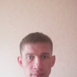 �����, �������, 41 ���