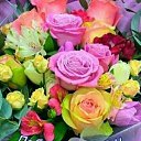 ���� �������, ������ - ��������� 12 �������� 2022 � ������ ���� ����������