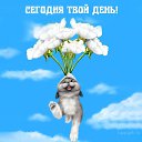 ���� "�����"))), ������ ���� - ��������� 4 ������� 2022 � ������ ������ ��������
