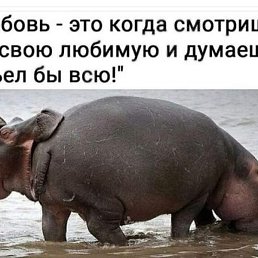 ���, ������, 44 ����